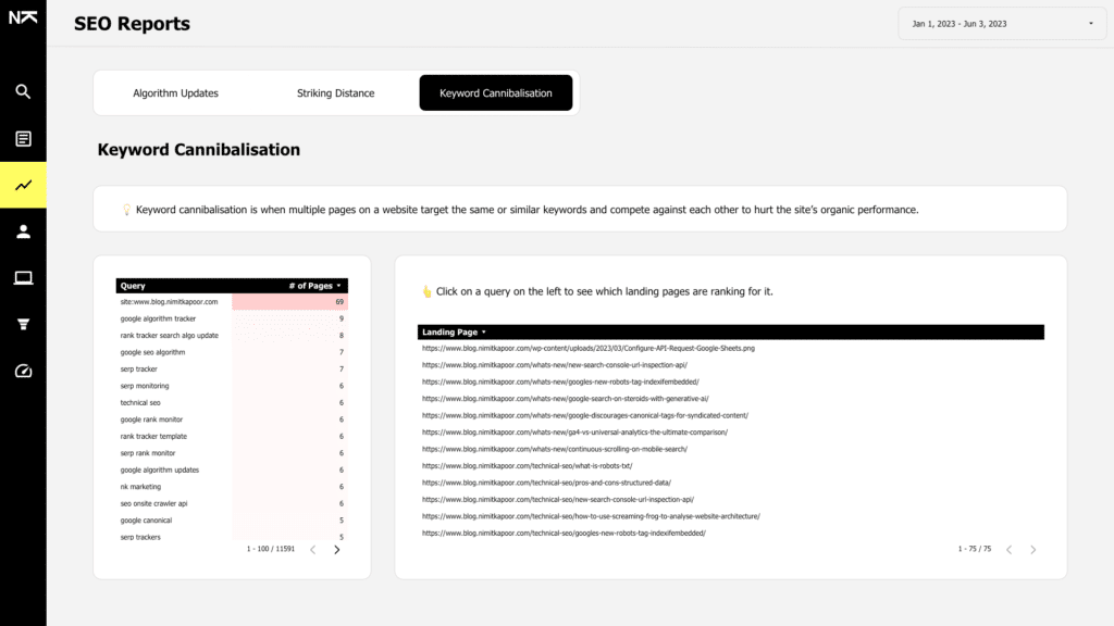 Keyword Cannibalisation Report Screenshot