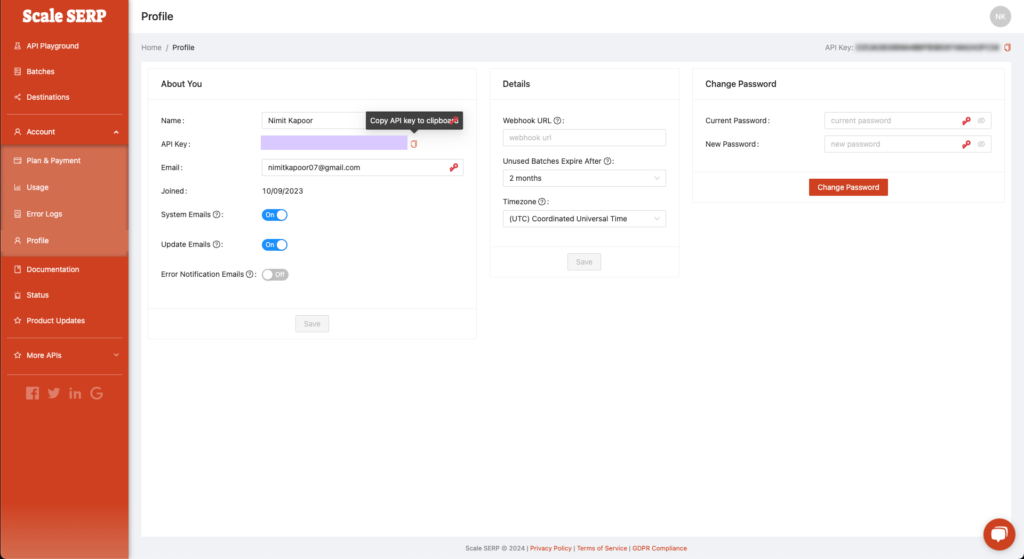 Scale SERP API dashboard screenshot